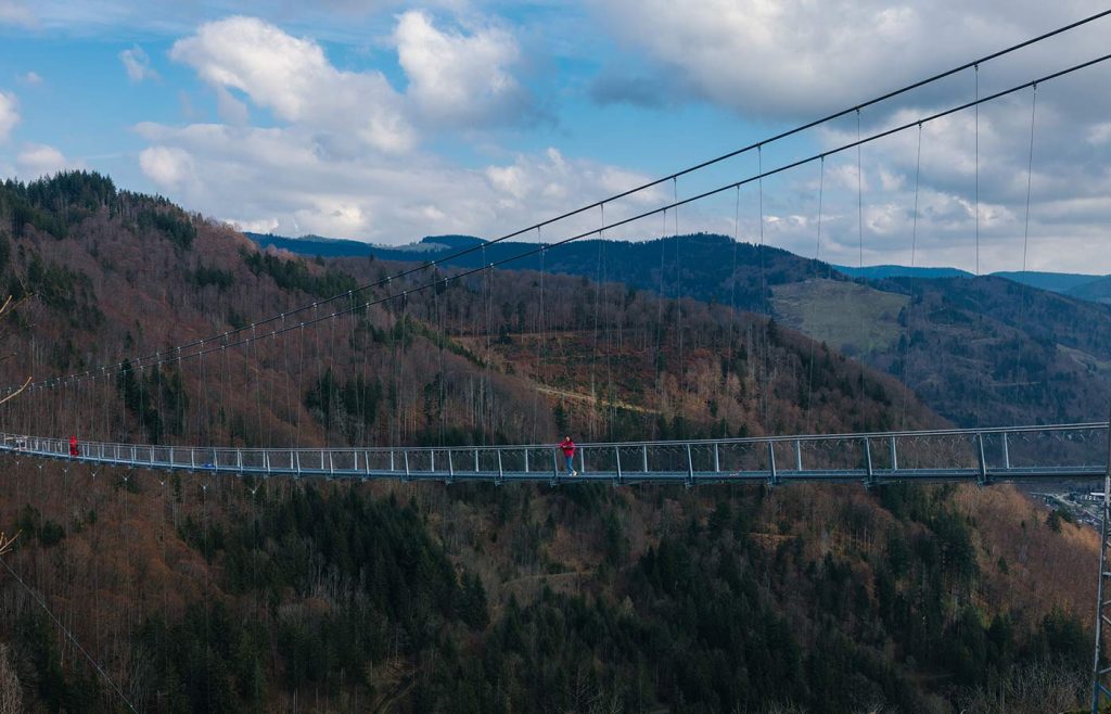 Aufnahme der BLACKFORESTLINE Brücke mit Aussicht auf die Landschaft von Todtnau