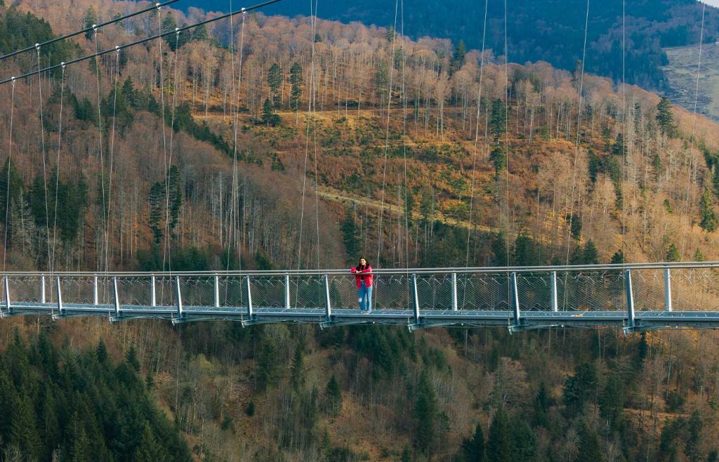 Aufnahme einer Besucherin auf der BLACKFORESTLINE Brücke