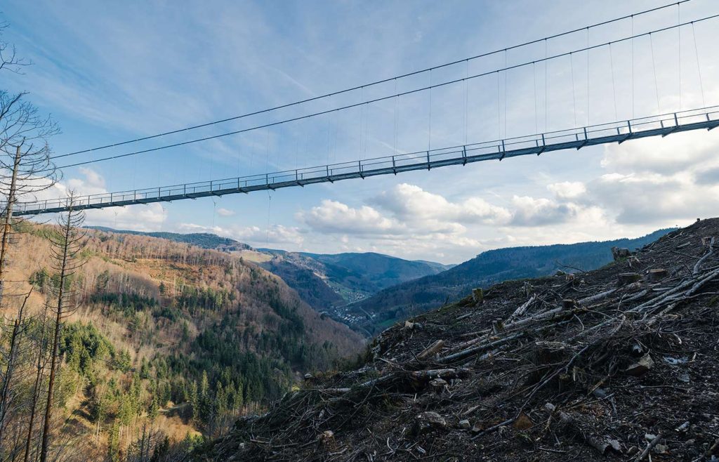 Bild der BLACKFORESTLINE Brücke in Todtnau
