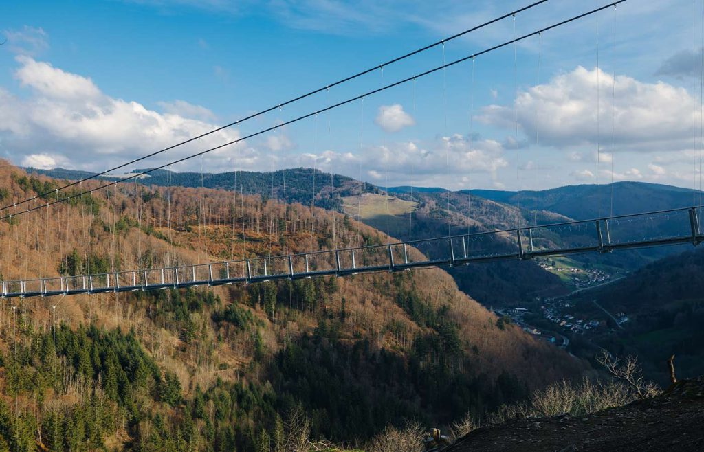 Aufnahme der BLACKFORESTLINE Hängebrücke in Todtnau