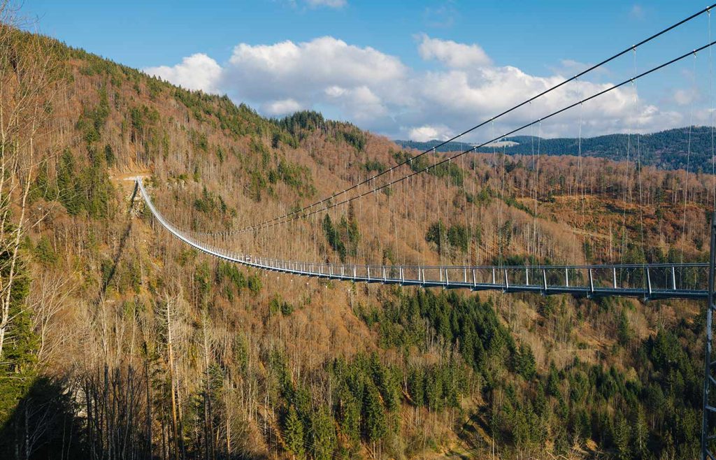Aufnahme der BLACKFORESTLINE im Herbst