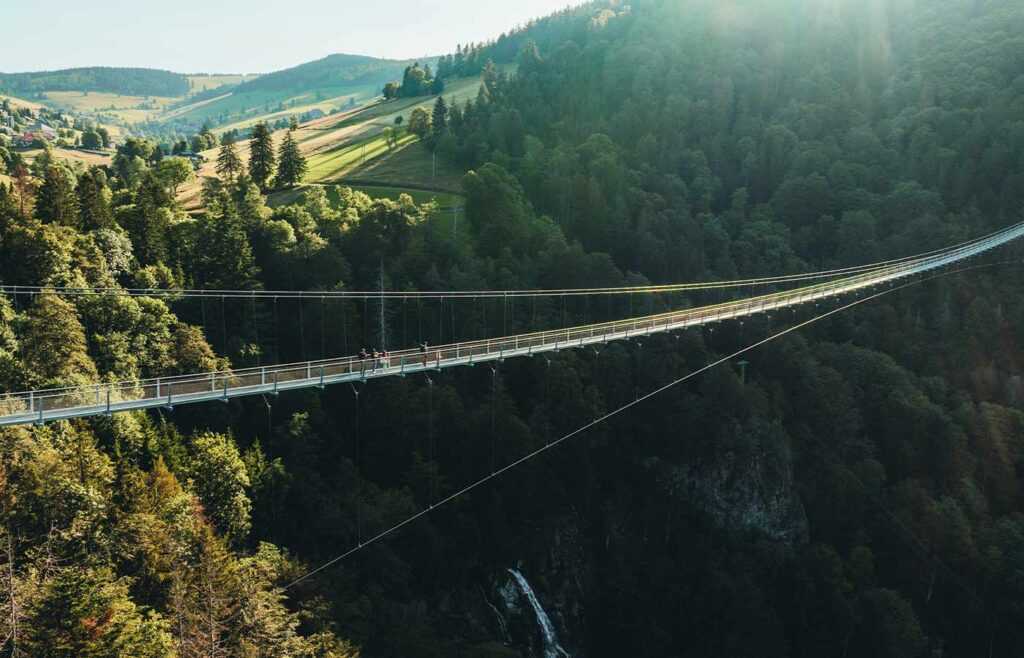 Besucher auf der BLACKFORESTLINE Brücke im Sommer