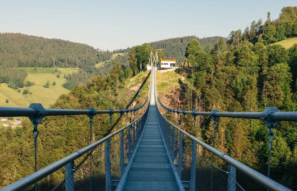 BLACKFORESTLINE Brücke und Besucherzentrum in der Sonne