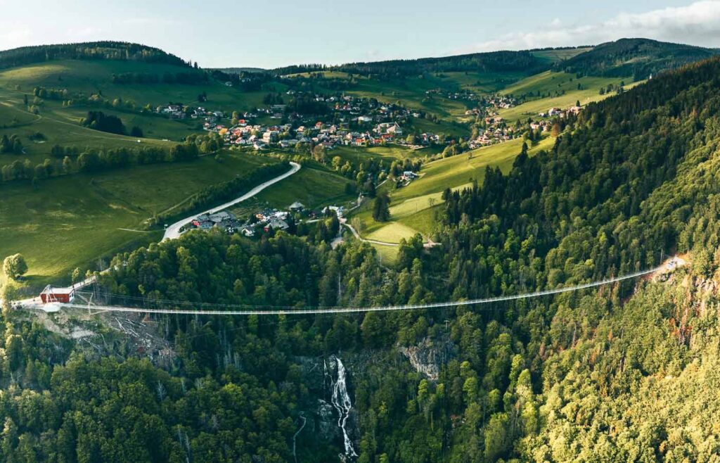 BLACKFORESTLINE Gesamtansicht im Sommer