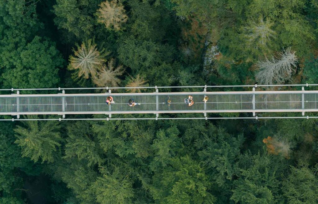 Besucher auf der BLACKFORESTLINE über dem Wald