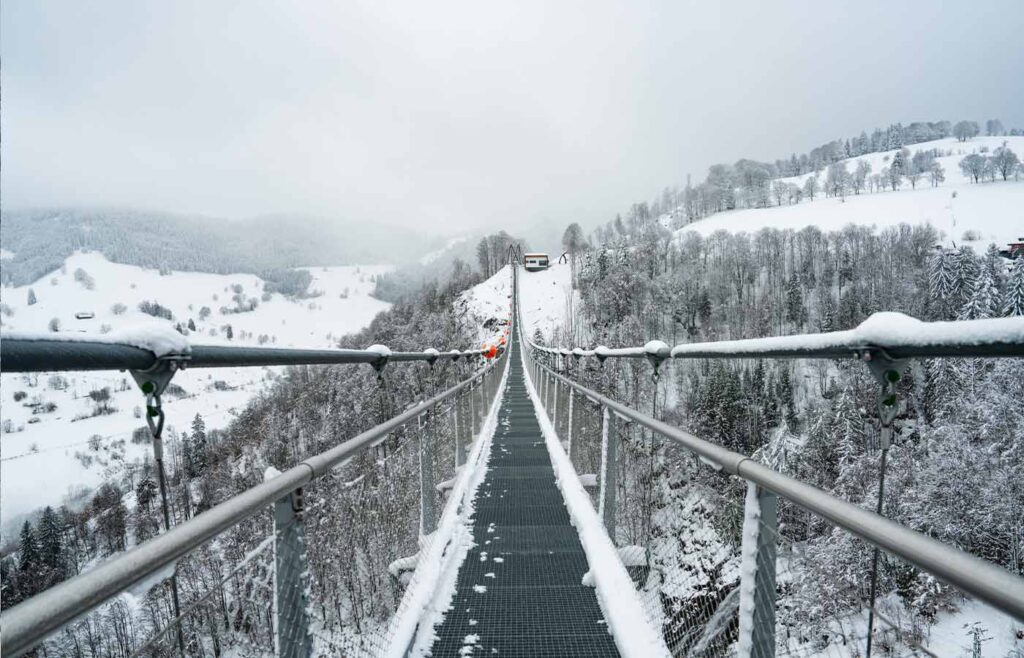 BLACKFORESTLINE im Winter